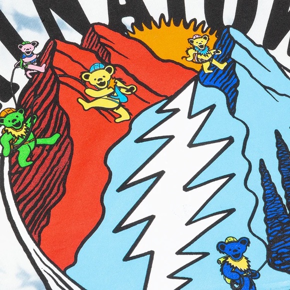 CHINATOWN X GRATEFUL DEAD POSITIVE ALTITUDE TD HOODIE - TIE DYE Sz Large - Picture 4 of 11